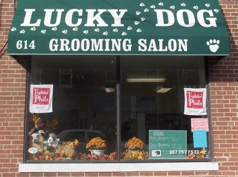 Lucky dog grooming - 